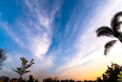 Low angle view of silhouette palm trees against sky