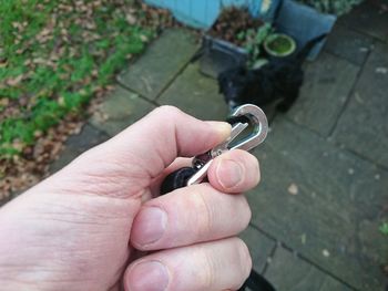 Close-up of human hand using lead for dog