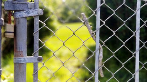 Through the fence