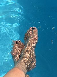 Low section of woman swimming in pool