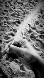 Close-up of hand holding sand