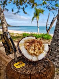 Close-up of coconut on table