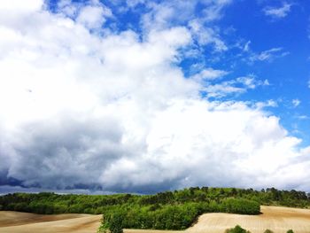 Scenic view of agricultural field against sky