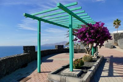 View of flowering plants by sea against sky