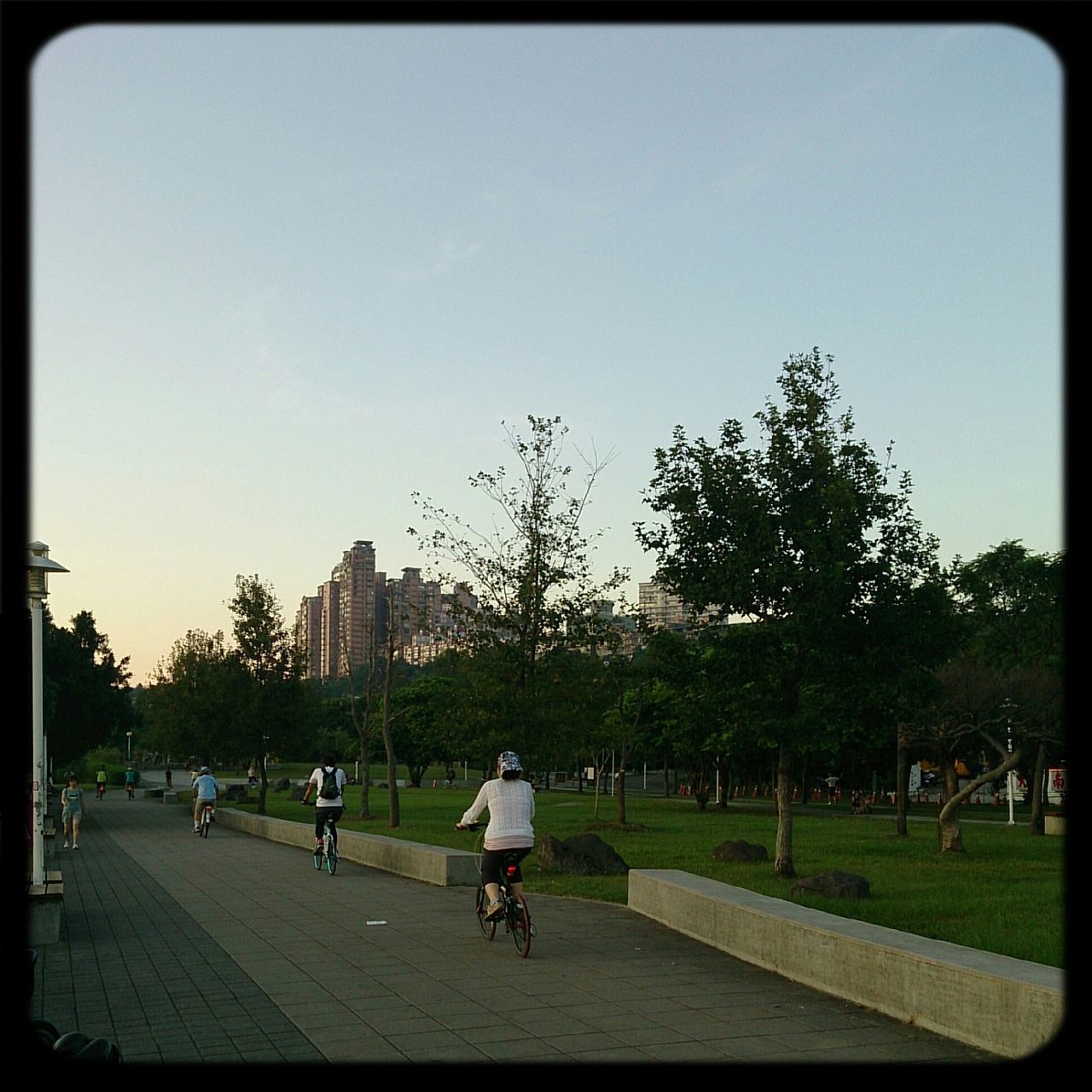 transfer print, men, tree, leisure activity, lifestyles, grass, person, large group of people, auto post production filter, clear sky, walking, park - man made space, full length, park, sunlight, group of people, togetherness, sky, shadow