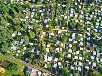 High angle view of trees and buildings in city