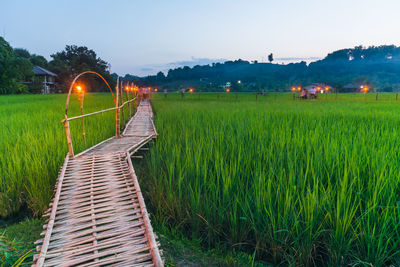 Boardwalk over farm field against sky during sunset