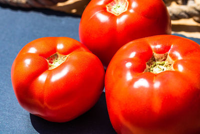 Close-up of tomatoes on table