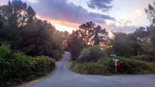 Empty road with trees in background