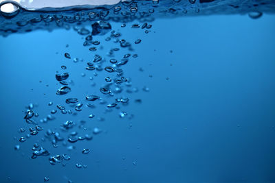 Close-up of water drops on blue background