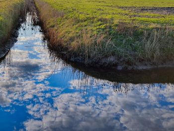 Reflection of clouds in water