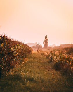 Scenic view of land against sky during sunset