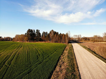 Aerial view of green agricultural fields and rural road in spring with fresh vegetation