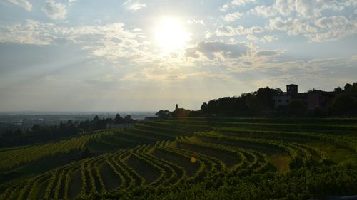 Scenic view of field against cloudy sky