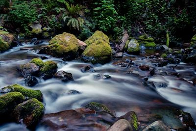 Stream flowing through rocks