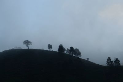 Trees on landscape against sky