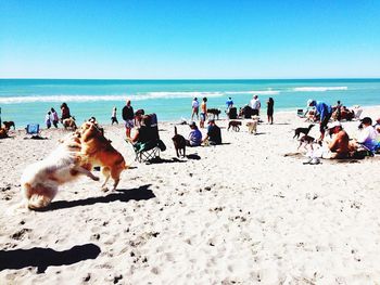 Group of people on beach