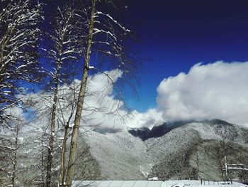 Low angle view of snowcapped mountain against sky