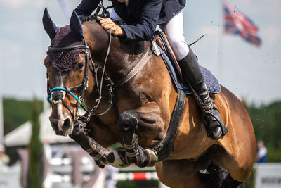 Horse jumping, equestrian sports, show jumping competition themed photograph.