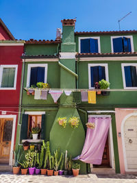 Potted plants on balcony of building