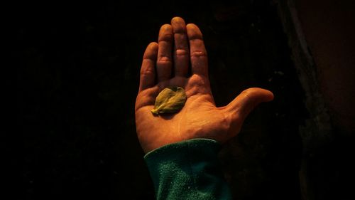 Cropped hand of person holding leaf against black background