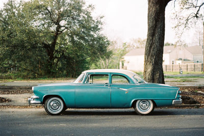 Vintage car on road against trees in city