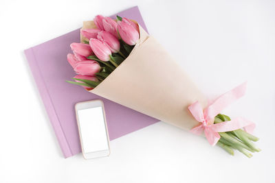 Close-up of pink roses against white background