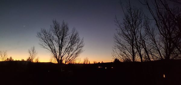 Silhouette bare tree against sky during sunset