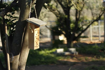 Close-up of birdhouse hanging from tree