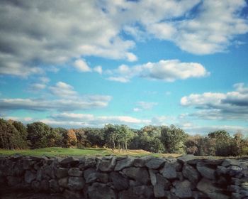 View of trees against sky