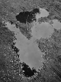 Reflection of puddle on water