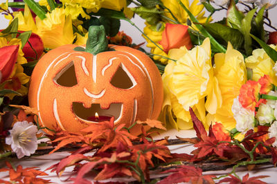 Full frame shot of various flowers blooming during autumn