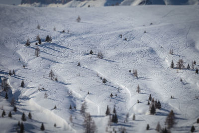 High angle view of snow covered landscape