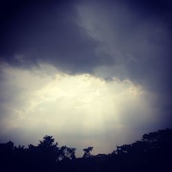 Low angle view of silhouette trees against sky