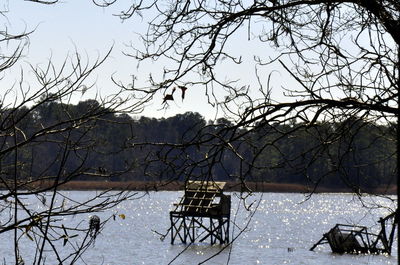 Bare tree by lake against sky during winter
