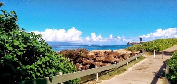 Narrow footpath along calm blue sea