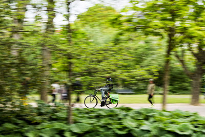 Person riding motorcycle on road