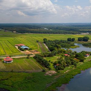 Aerial view of agriculture land, paddy fields in sungai rambai, melaka, malaysia