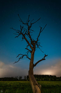 Bare tree on field against sky at night