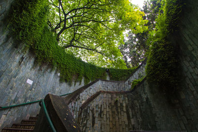 Low angle view of footbridge over canal amidst trees