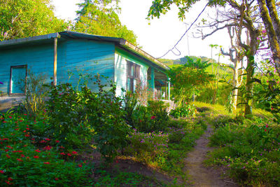 House amidst plants and trees against sky