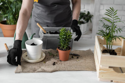 Midsection of man holding potted plant