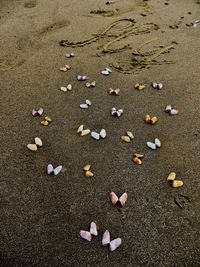 High angle view of sand on beach