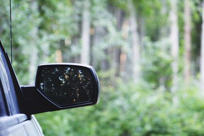 Reflection of man photographing on side-view mirror