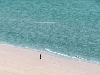 High angle view of man standing at sea shore