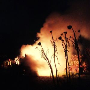 Silhouette plants growing on field against sky at sunset