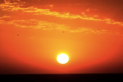 Silhouette bird flying over sea against romantic sky