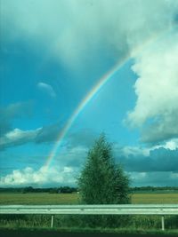 Scenic view of rainbow over trees on field against sky