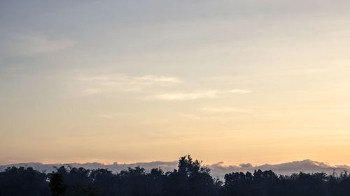 Silhouette trees against sky during sunset