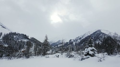 Scenic view of snow covered landscape